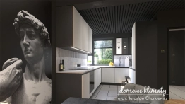 Projekt domu Szarotka III bis (5)